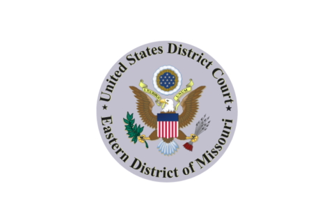 Bridget Hoy Celebrates 10 Years as a Certified Mediator with the U.S. District Court for the Eastern District of Missouri